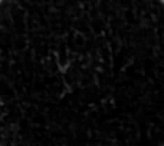 BLACK 38mm Ribbon 1 roll 25m